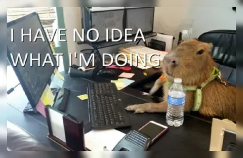 Capybara Has No Idea