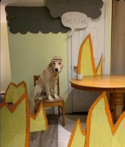 This Is Fine Dog at the Table