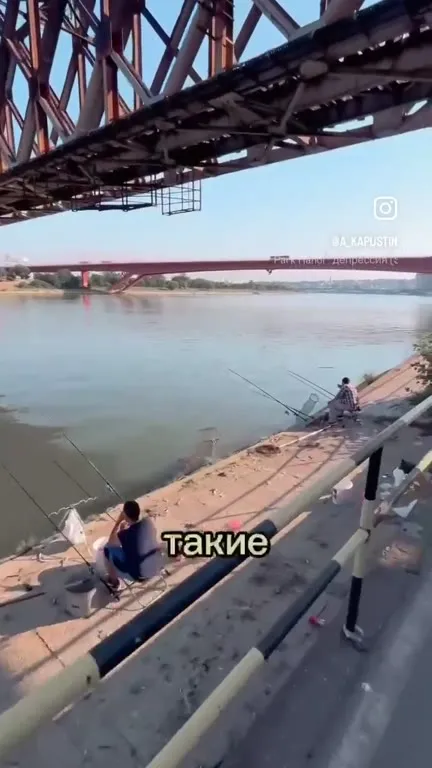 Мужчины и воображаемые друзья