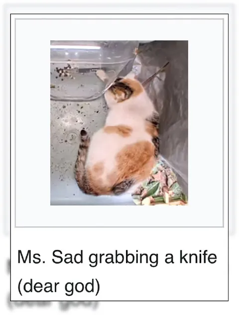 Ms. Sad Grabbing a Knife
