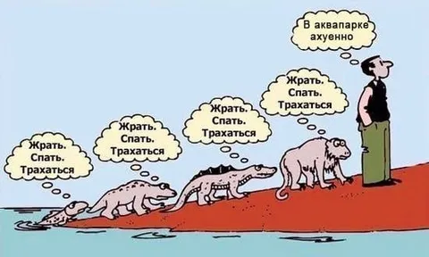В аквапарке ахуенно