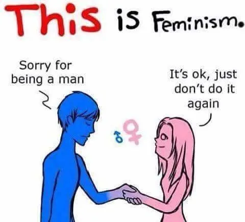 This Is Feminism Apology