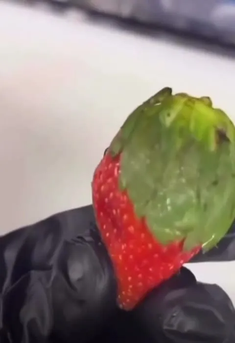 Драматичная клубника в перчатке