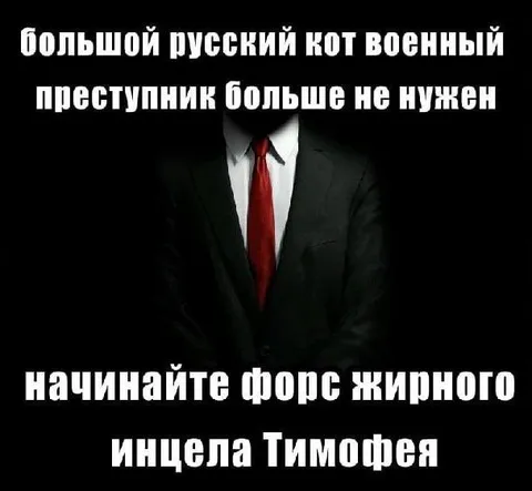 Форс жирного инцела Тимофея