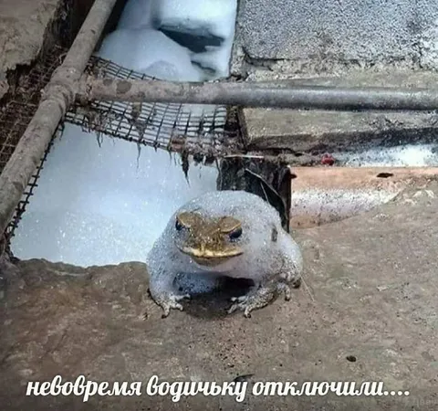 Не вовремя отключили водичку