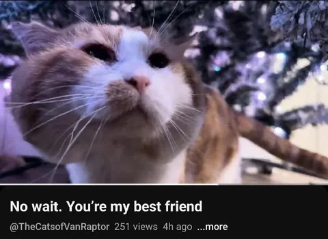 No Wait You're My Best Friend