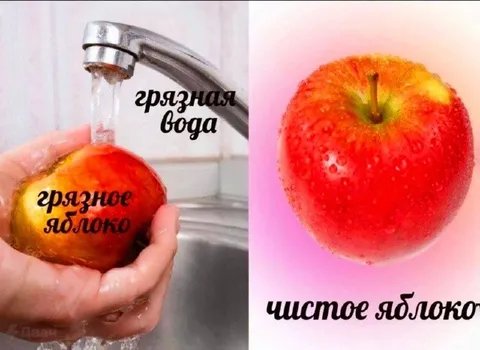 Грязное и чистое яблоко