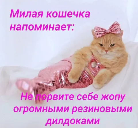 Милая кошечка напоминает