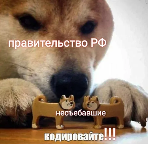 Правительство РФ кодирует несъебавших