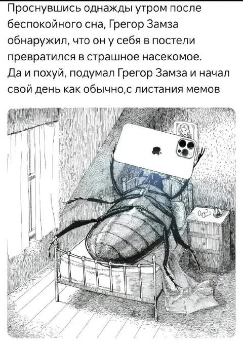 Грегор Замза листает мемы