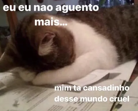 Eu não aguento mais