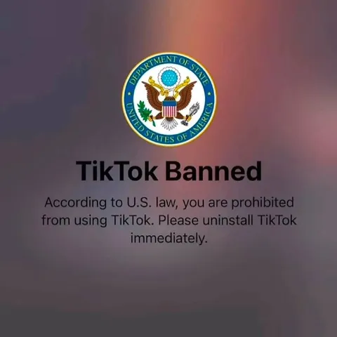TikTok Banned by U.S. Law