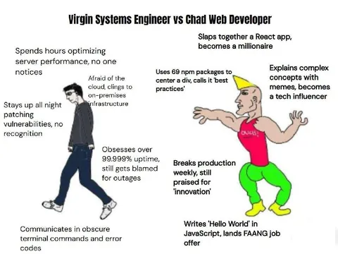 Virgin Systems Engineer vs Chad Web Developer