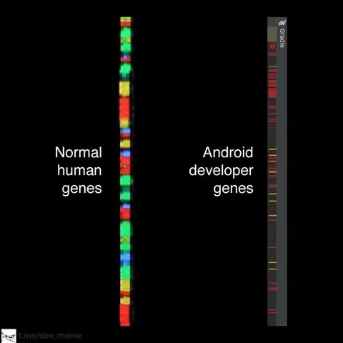 Android Developer Genes