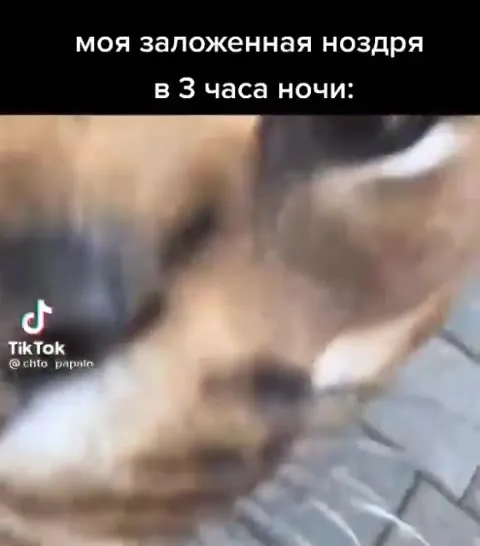 Заложенная ноздря в 3 часа ночи