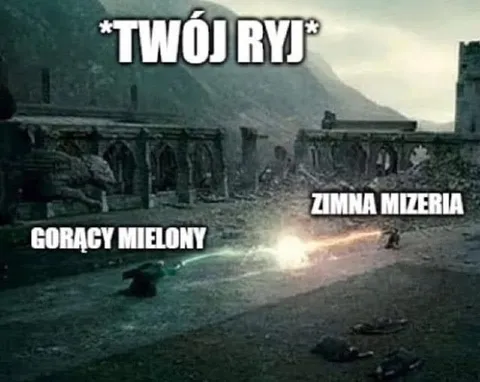 Twój ryj i zimna mizeria