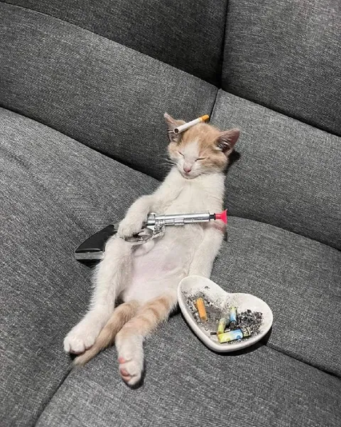 Уставший кот с сигаретой