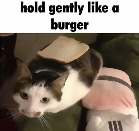 Hold Gently Like a Burger