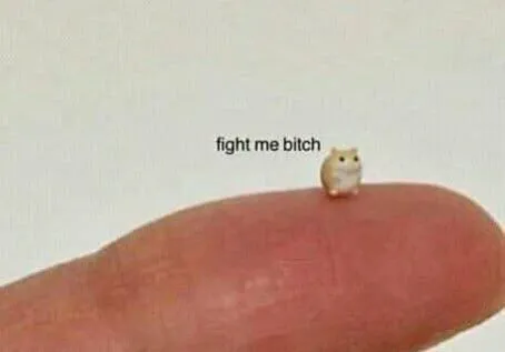 Tiny Hamster Says Fight Me