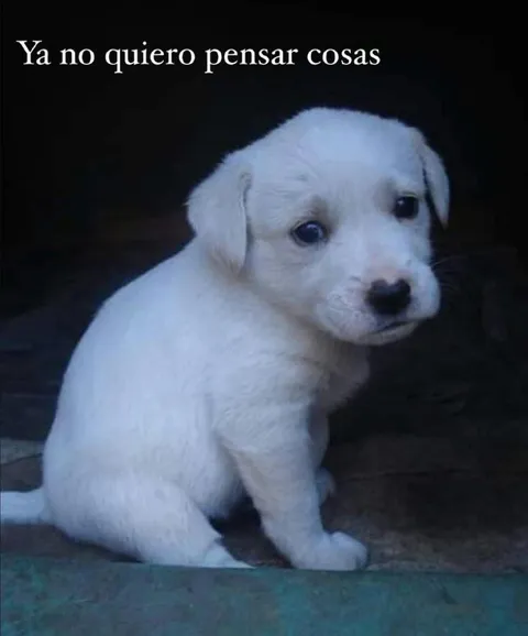Ya no quiero pensar cosas