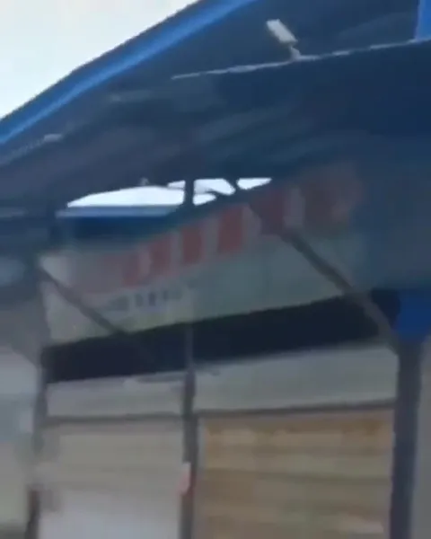 Крыса пережидает потоп