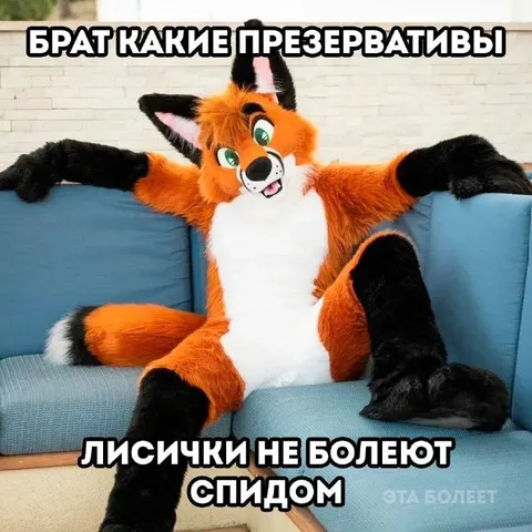 Лисички не болеют СПИДом