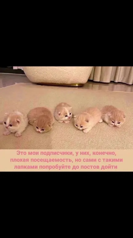 Подписчики с плохой посещаемостью