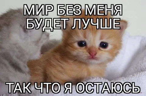 Мир без меня будет лучше