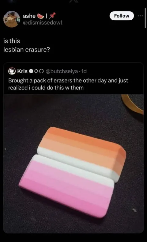 Lesbian Flag Erasers