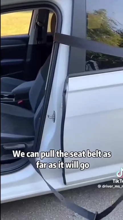 Seat Belt Engineering Goes Too Far