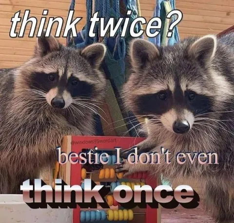 Raccoons Think Twice