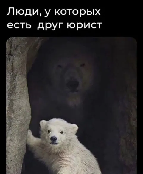 Друг юрист за спиной