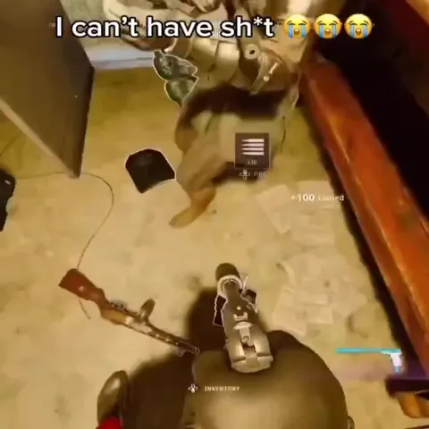 I Can't Have Sh*t Looting