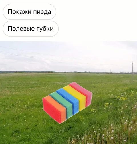 Покажи пизда — полевые губки