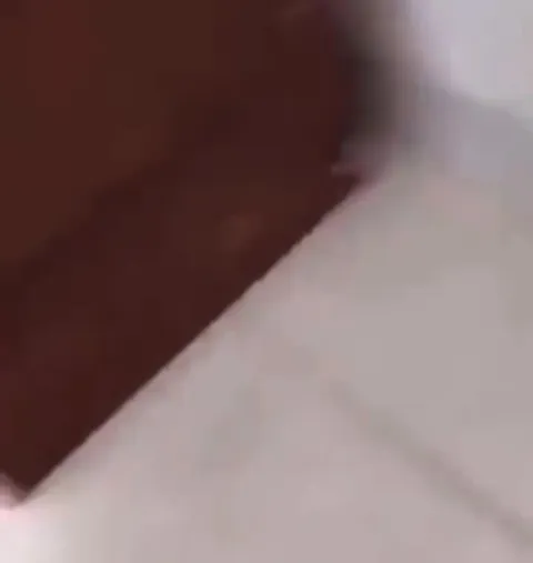 Кот скользит по полу