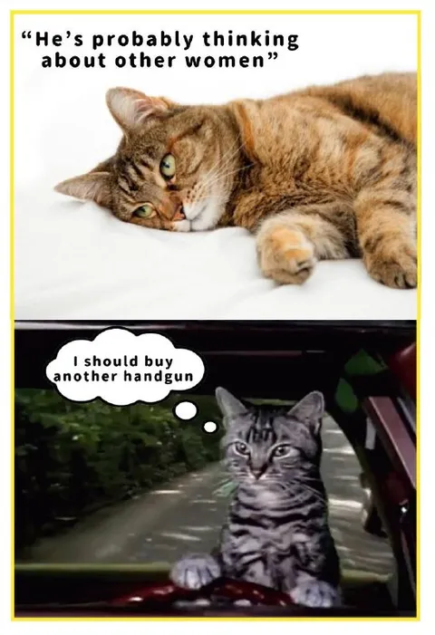 Cat Thinking About Other Women