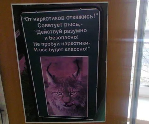 Рысь советует отказаться от наркотиков