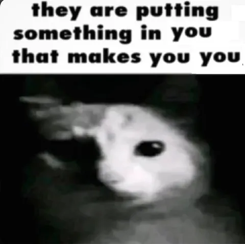 Something That Makes You You