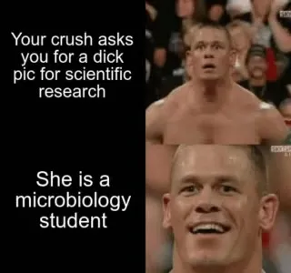 Scientific Research Crush Reaction