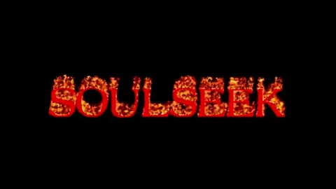Soulseek Instead of Spotify