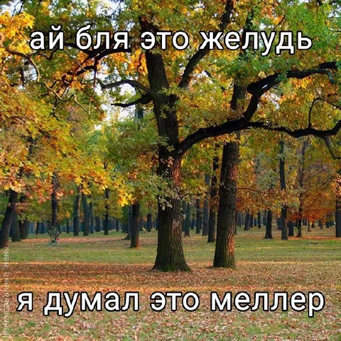 Я думал это меллер