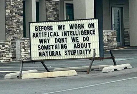 Natural Stupidity Before AI