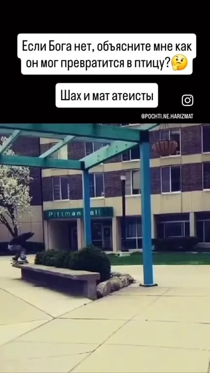 Как человек превратился в птицу