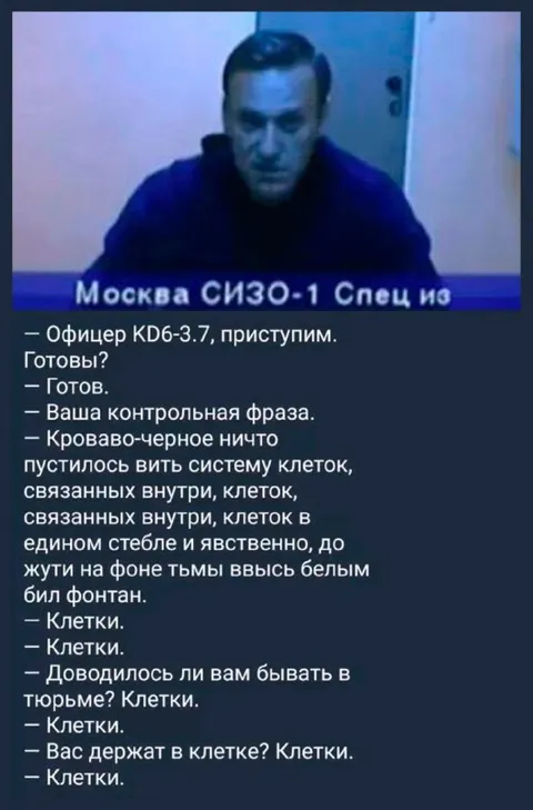 Контрольная фраза про клетки