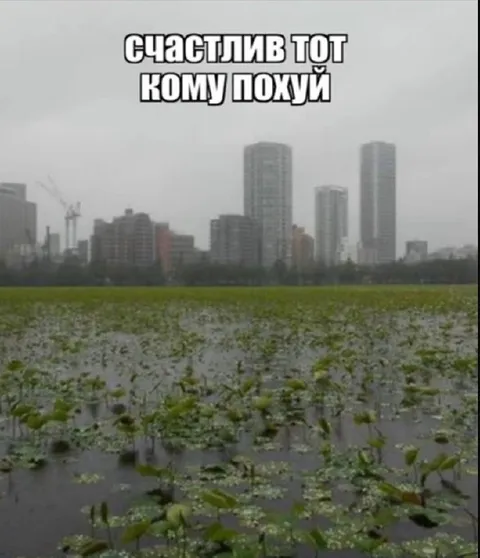 Счастлив тот кому похуй