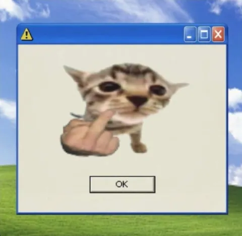 Windows XP Cat Error