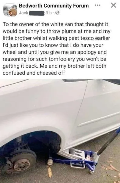 White Van Plum Throwing Revenge