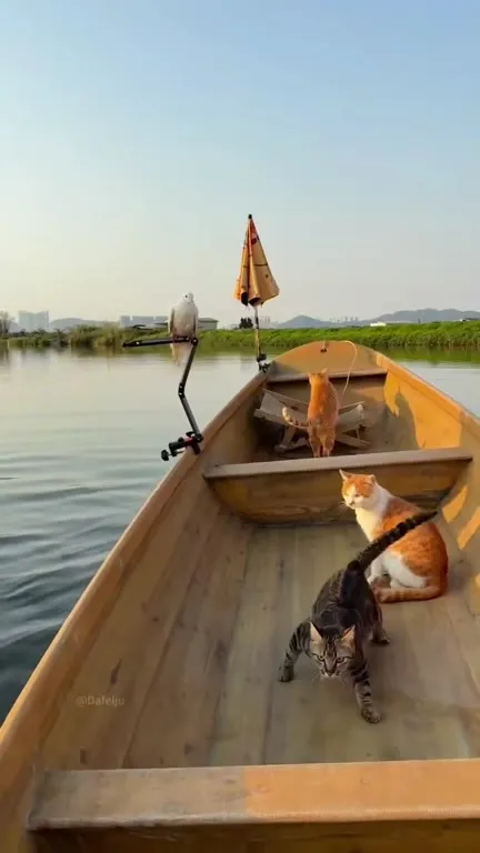 One Cabezon on the Cat Boat