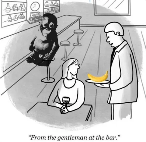Banana from the Gentleman at the Bar