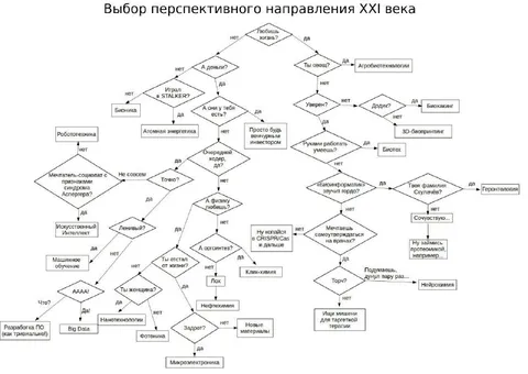 Выбор перспективного направления XXI века